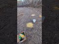 deer bait experiment #hunting