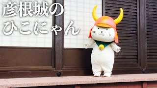 【ゆるキャラ】彦根城のひこにゃん 【彦根の総大将】  #shorts