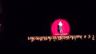 White Christmas Cover By Cynthia Risch