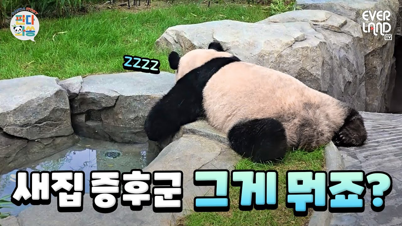 [ENG]어서와 세컨하우스는 처음이지? 🏡 (Feat.루후 만족도 120%)｜#판다와쏭 #225