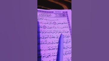 الشيخ ماهر المعيقلي "سورة مريم