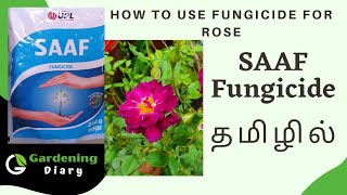 How to use fungicide saaf for roses.ஸாப் எப்படி யூஸ் பண்ணுவது? screenshot 3