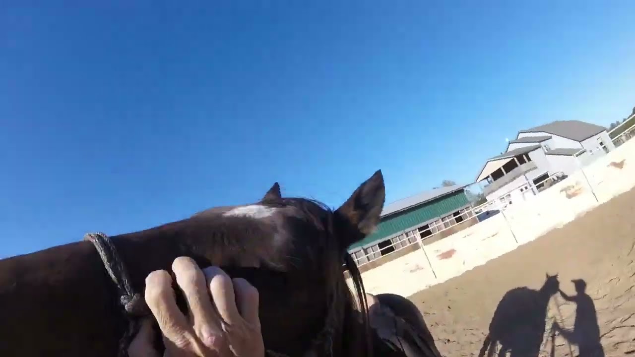 Уайттед 3 ноября 2025 г.