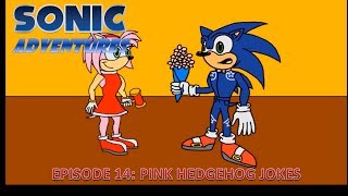 Sonic Adventures: Pink Hedgehog Jokes Wealth
