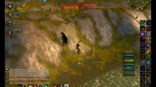 LvL 70 Bloodelf Hunter PvP Vid