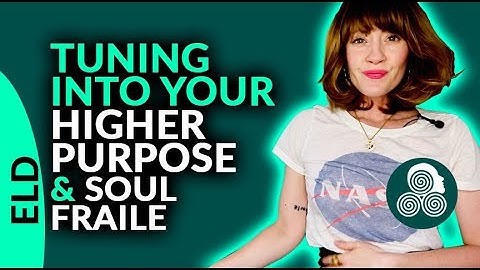 Higher Purpose And Soul Fraile With Reality Transurfing