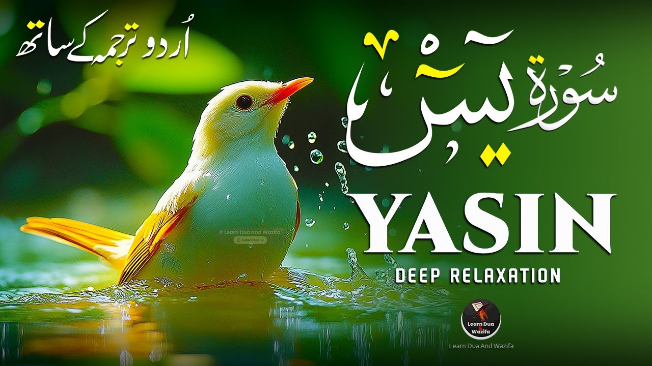 Surah Yaseen سورة يس | Ultimate Relaxing & Peaceful Quran Recitation | Emotional Voice #surahyasin