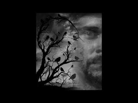 Stefan Biniak - Lost without you Bootleg ( Freya Ridings Cover)