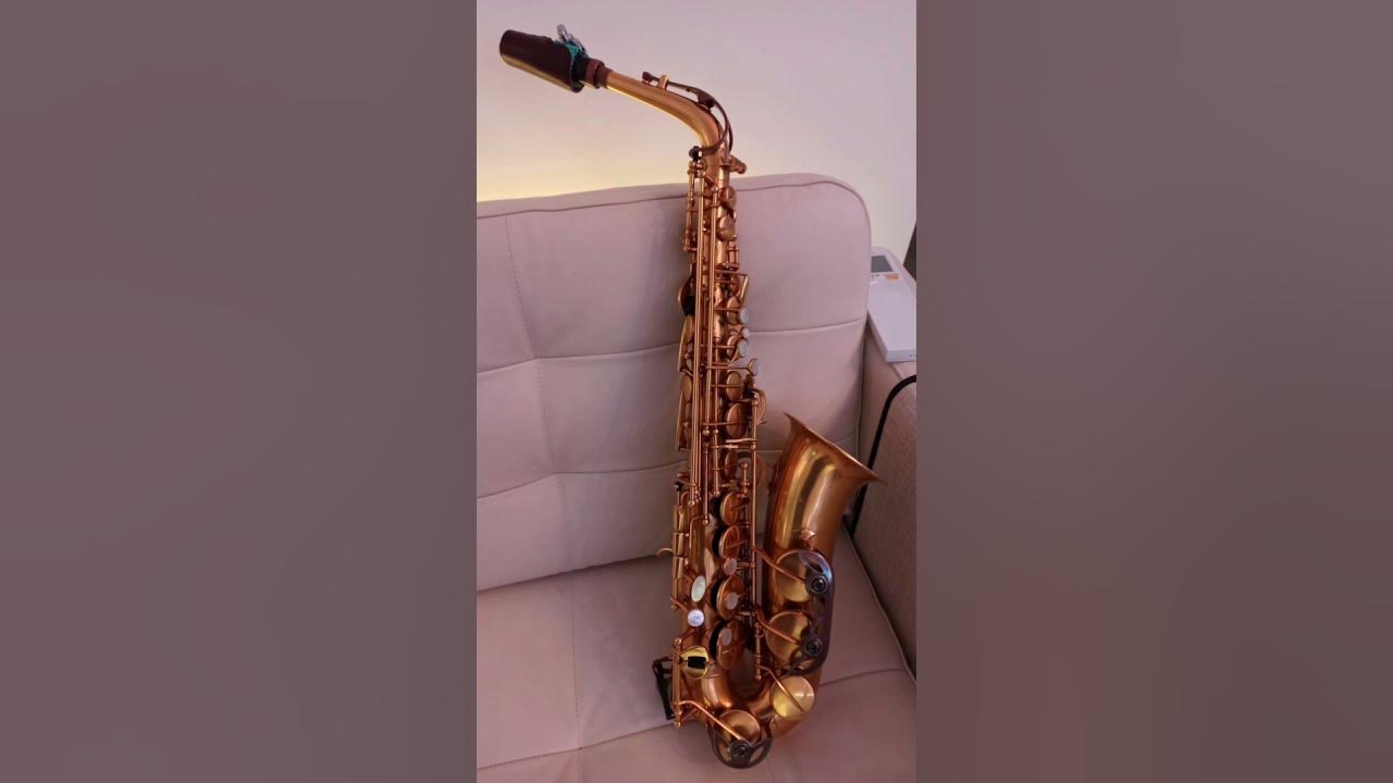 Dance Monkey alto sax solo YouTube