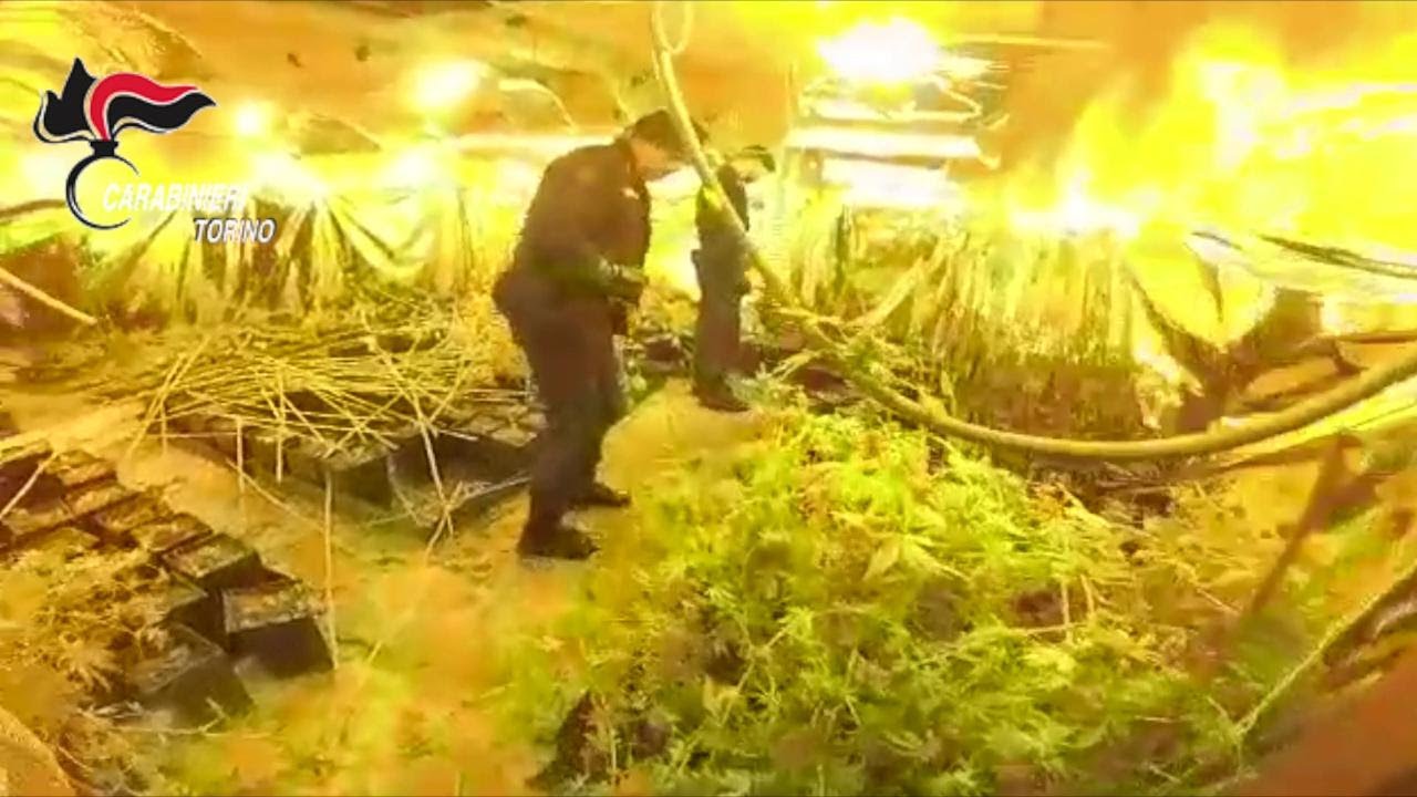 Torino, viaggio nella villa trasformata in bunker della droga