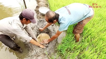 Miền tây quê tôi - Tập 58 - Làm hầm bắt cá nhảy đêm