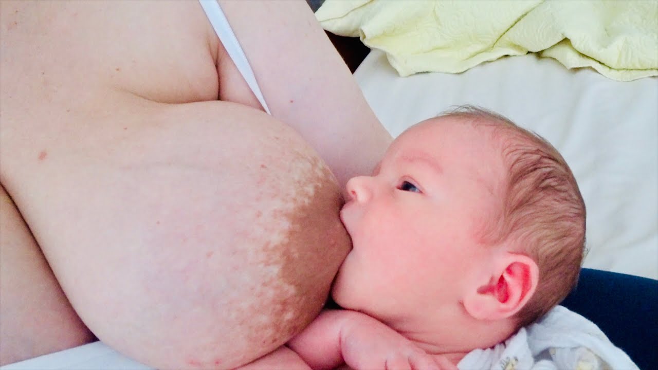 bebe rexha boobs