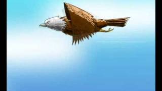 eagle flying animation flash
