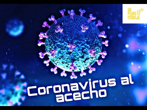 EL CORONAVIRUS AL ACECHO - E1