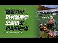 캠핑가서 마쉬멜로우, 오징어로 인싸되는 방법