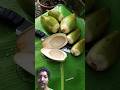 #mango #mangovarieties #funny #bushcraftcamping #facts #camping #sadmusic #comedy #formula1