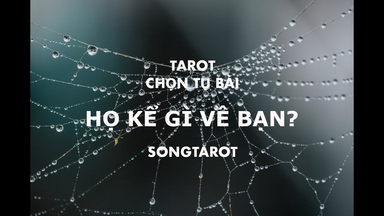 tarot: chọn tụ bài: họ kể gì về bạn?