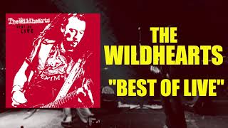 The Wildhearts - ( Vinyl  trailer)