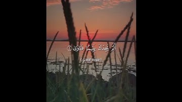 سورة الضحى_القارئ إسلام صبحي «والضحى»