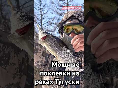 Вот это лапти! Мощные поклевки хариуса...