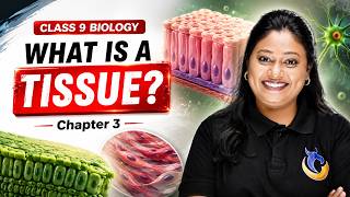 What is a Tissue? - Tissues in Action | Class 9 Biology Chapter 2