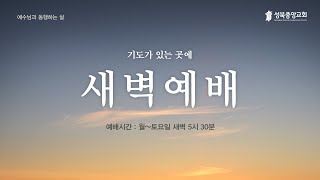 [새벽예배] 2025.6.30ㅣ주의 궁정에서 한 날이 다른 곳에서 천 날보다 나은즉ㅣ 김부기 목사