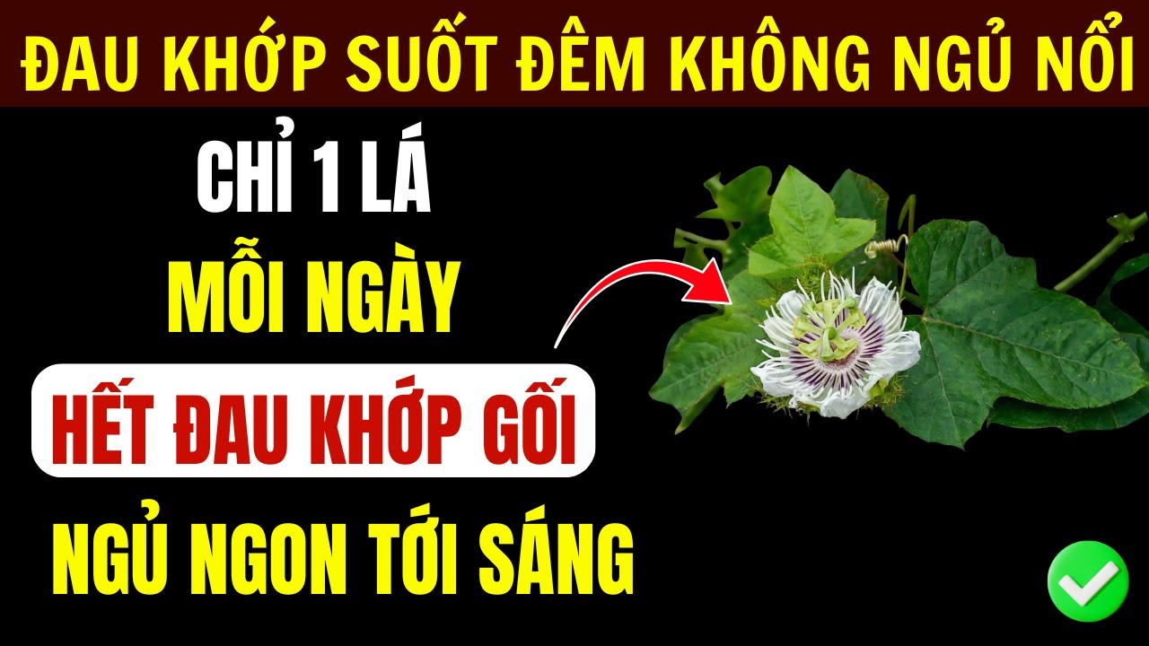 Lá Lạc Tiên Dùng 4 Cách Này Giúp Ngủ Sâu, Giảm Đau Khớp Cho Người Cao Tuổi