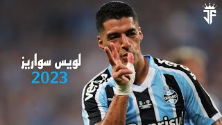لويس سواريز 2023 | أهداف لويس سواريز مع غريميو البرازيلي هذا الموسم 2023