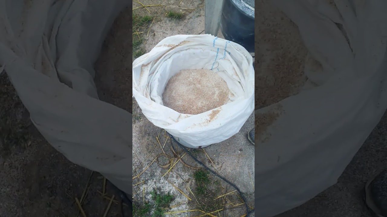 Из зерна в муку