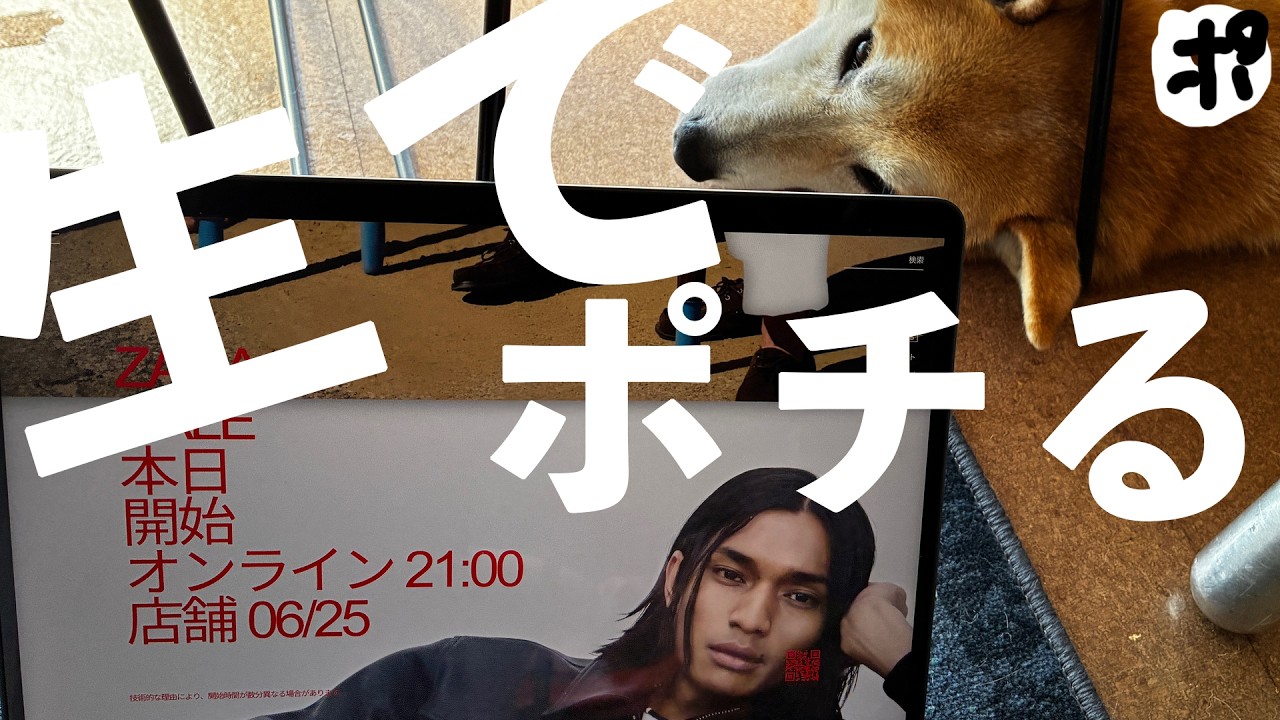 ZARA SALE】 Preparing to Splurge! Let's Shop Together 【Online