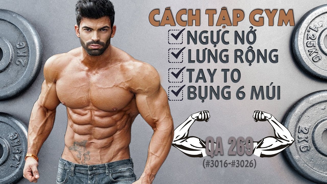 Qa 269 - Cách Tập Gym Ngực Nở Lưng Rộng Tay To Bụng 6 Múi - Youtube