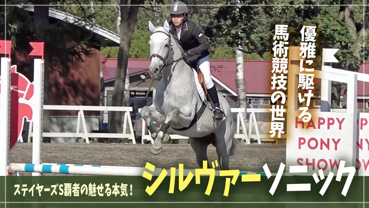 【シルヴァーソニック】競馬場からやって来た！馬術界に現れた新星アイドルホース【北海道地区乗馬大会】