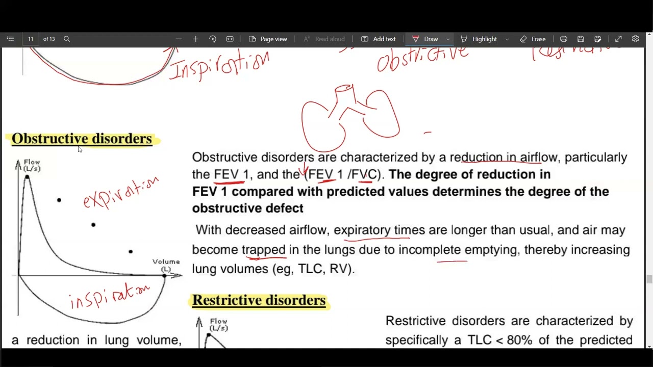 Respiratory Flow - Volume loops