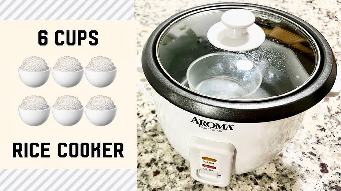 Aroma Housewares Select Stainless Rice Cooker Unboxing & First