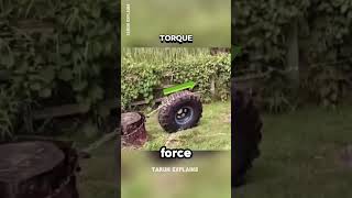 Remove Tree Stump with Physics 🤯 Tire Trick Explained