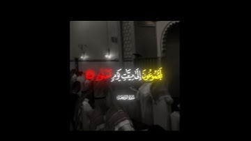 تلاوة خاشعه لآيات من سوره الواقعه #quran #المصحف #islamicstatus #تلاوة_خاشعة #قران_كريم #قرآن