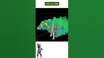 #cfd #fluiddynamics #animation #science #physics #freefire
