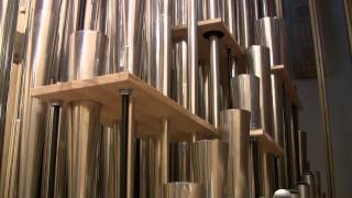Mons Leidvin Takle - Festmusikk