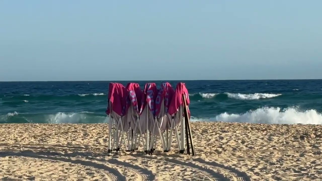 Tappa's surf report 6/12/25