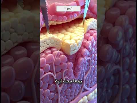 هكذا تسرق البعوضة دمك