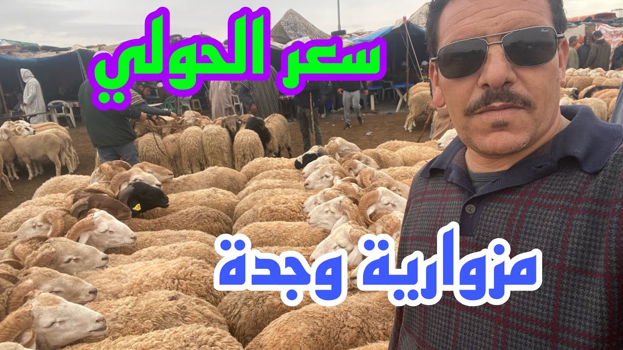 اليوم من سوق مزوارية وجدة لمليح كاين الرفق موجود فرجة ممتعة