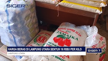 HARGA BERAS DI LAMPUNG UTARA SENTUH 16 RIBU PER KILO