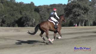 120XC Charlotte Babbitt on Under Wraps Preliminary Rider Cross Country Woodside October 2016