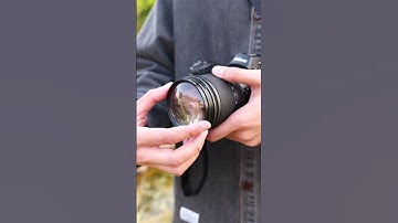 Step into the crazy micro world with JJC Macro Filter in 2025#shorts#jjc#macrophotography#macrolens