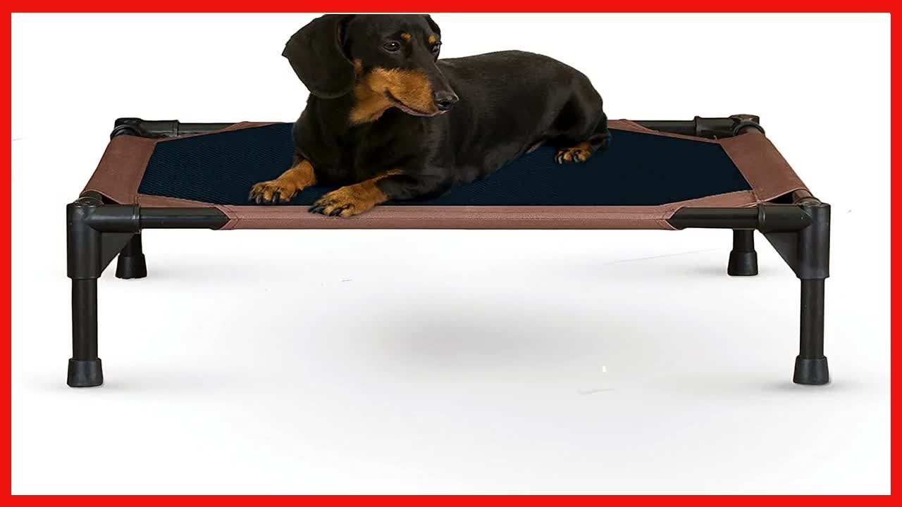 K&H Pet Products Original Pet Cot, Elevated Dog Bed Cot With Mesh Center, Multiple Sizes YouTube