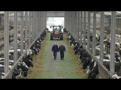 DELAVAL 6 * VMS V300 S�T SA?IM ROBOT �?FTL???