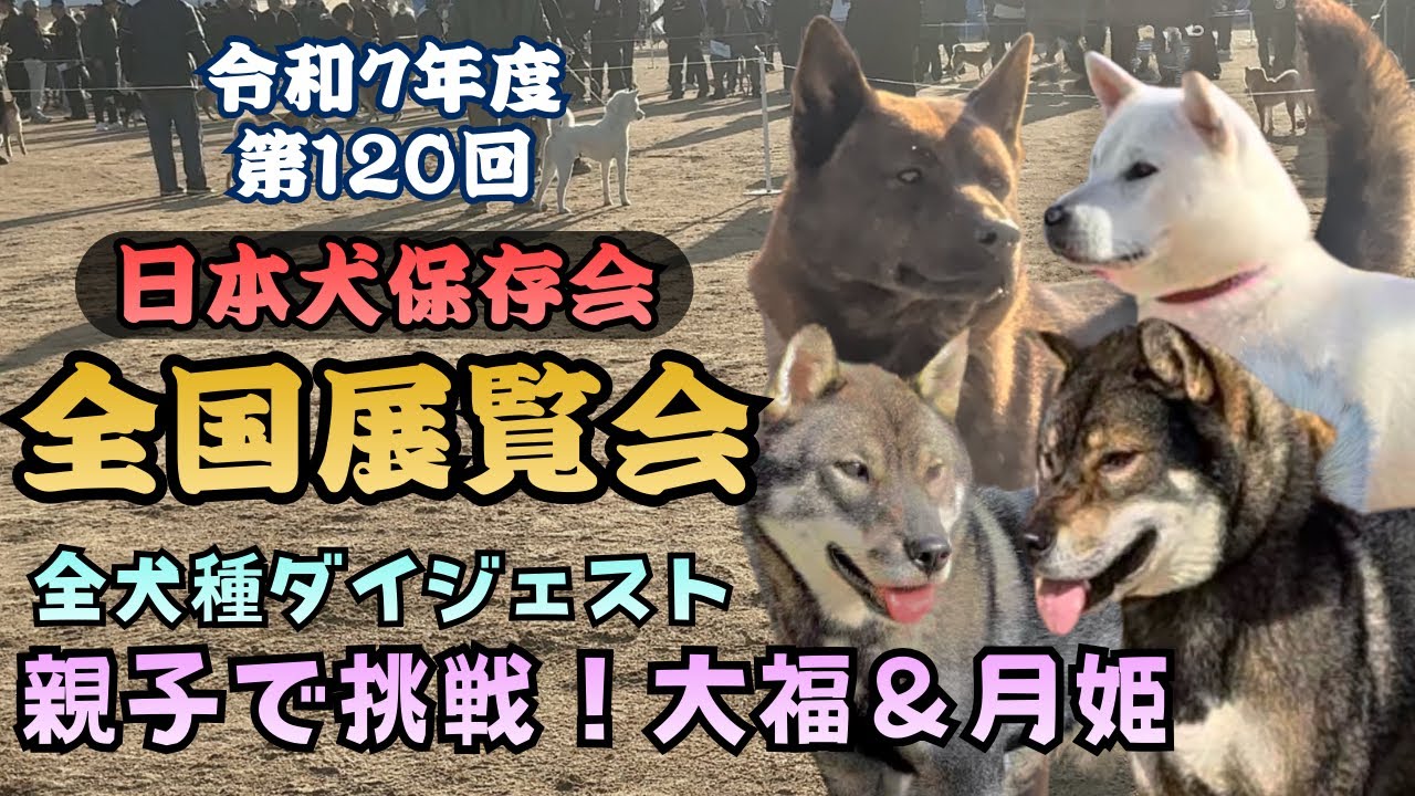 This is the Japan Kennel Club National Exhibition! 2025 120th All