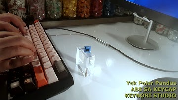 Yok Polar Pandas Switch Typing Sounds ASMR, ABS SA Profile Keycap