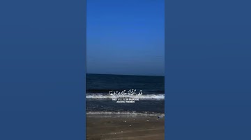 #القرآن_الكريم #اكسبلور #المصحف #بسم_الله_الرحمن_الرحيم #حالات_واتس #سورة_البقرة #راحة_نفسية