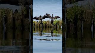 Provetrivanie Baklanov.